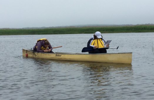 image for From Canoeing to Communications: A College Intern Tests the Waters in the Environmental Field